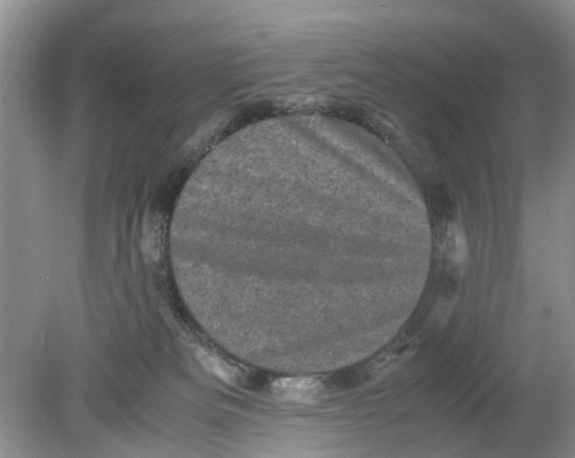 X0000078860133200612041942