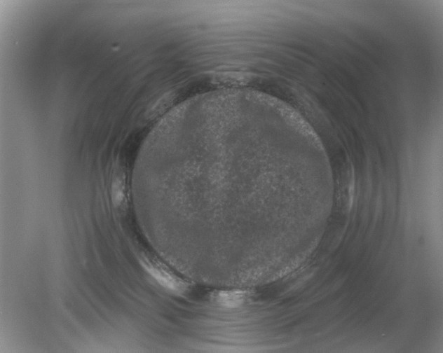 X0000078860134200612041942