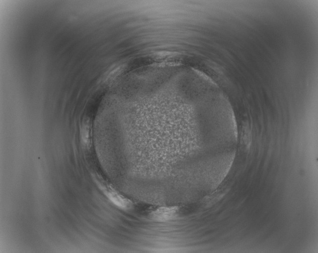 X0000078860138200612041942