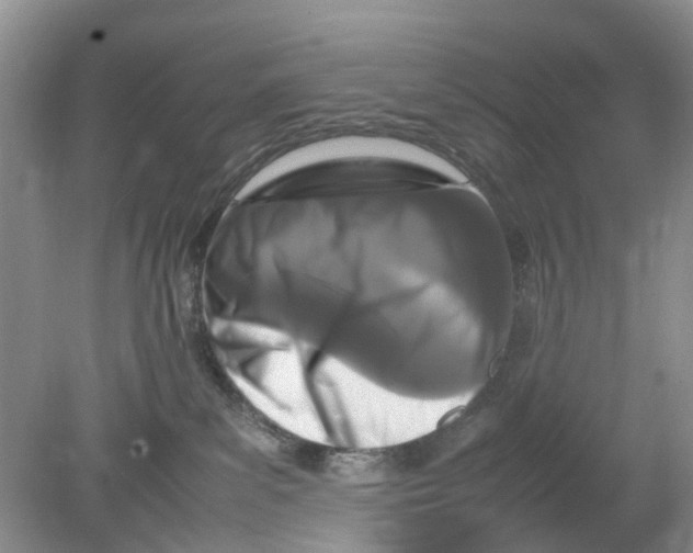 X0000078860139200612041942