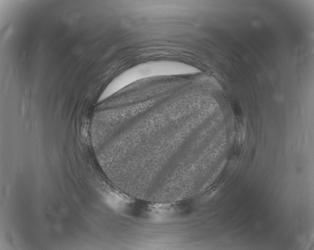 X0000078860141200612041942