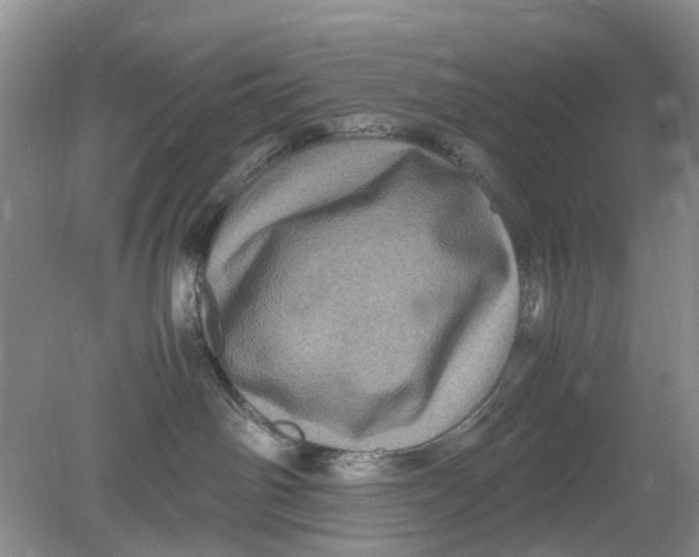 X0000078860142200612041942