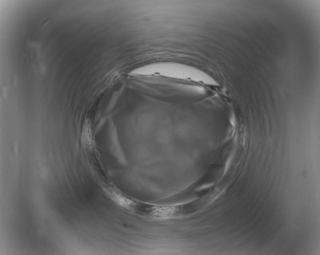 X0000078860143200612041942