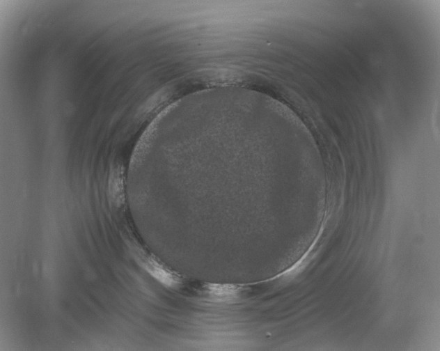 X0000078860144200612041942