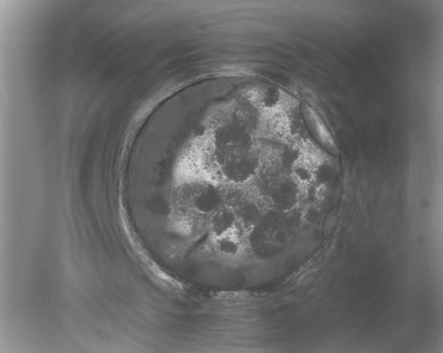 X0000078860145200612041941