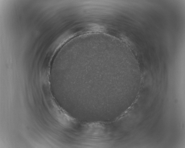 X0000078860146200612041941