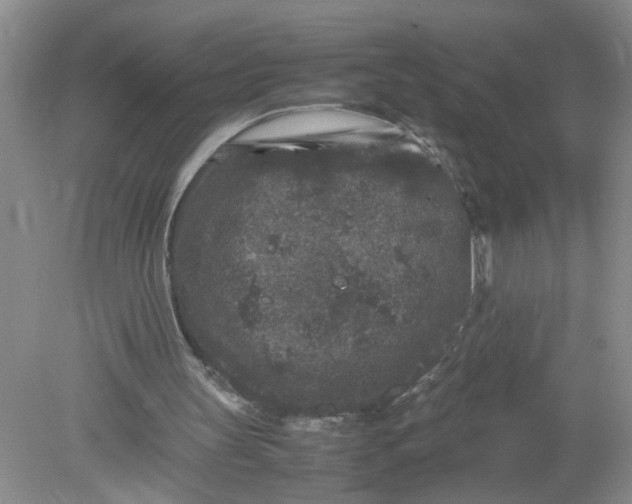 X0000078860147200612041941