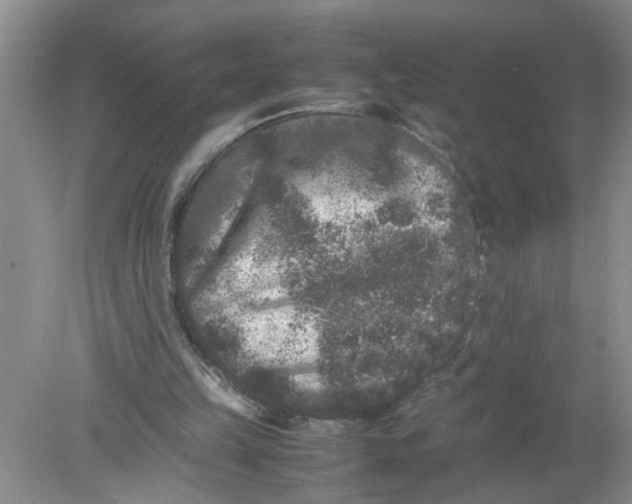 X0000078860149200612041941