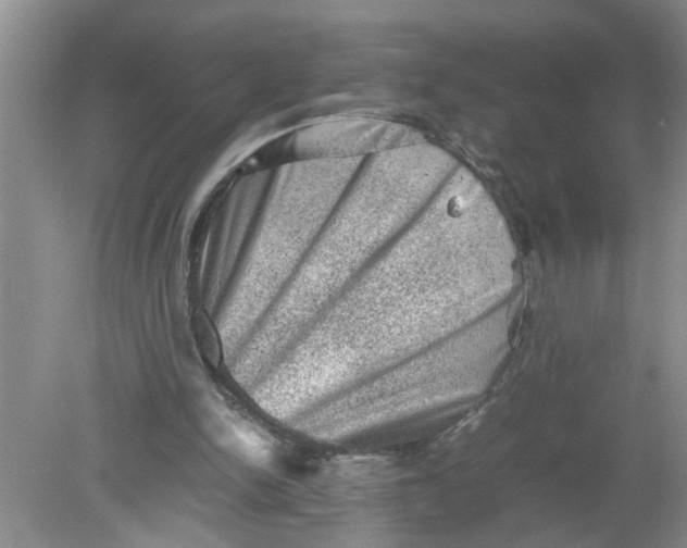 X0000078860150200612041941