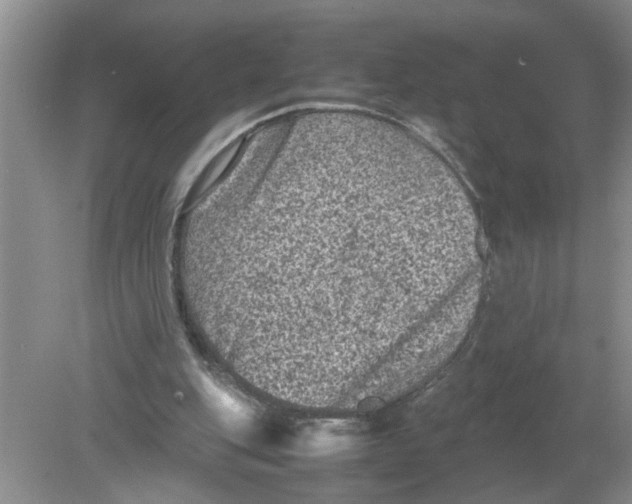 X0000078860151200612041941