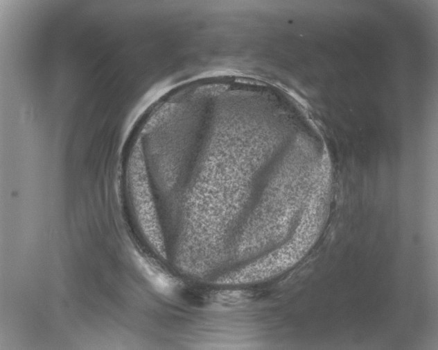 X0000078860152200612041941