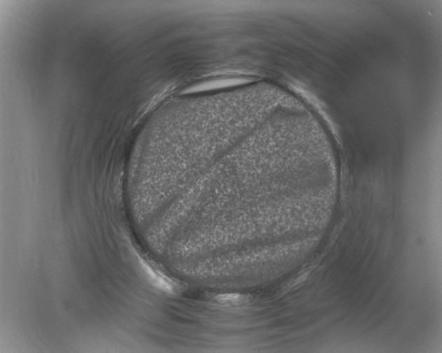 X0000078860153200612041941