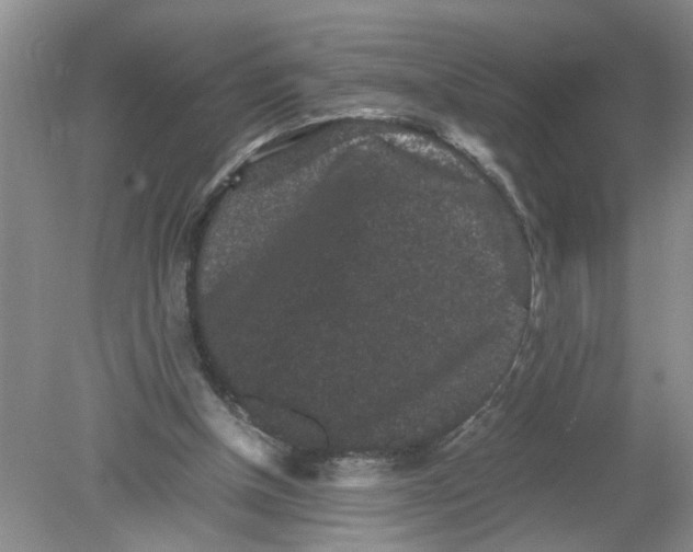 X0000078860154200612041941