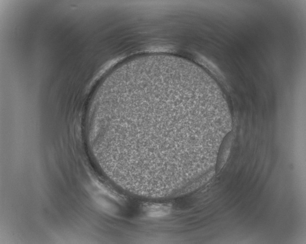 X0000078860155200612041941