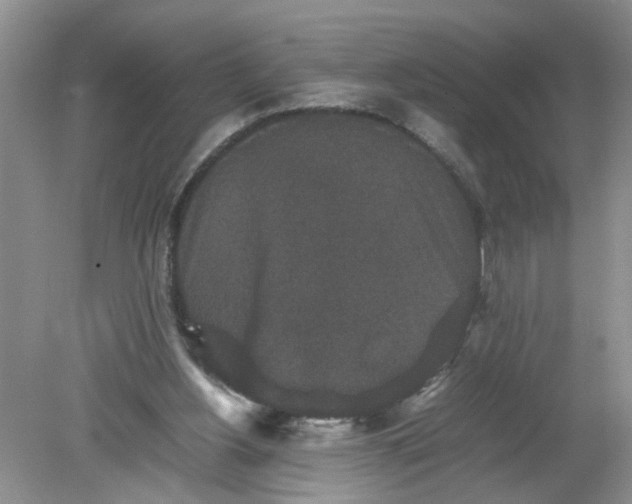 X0000078860156200612041941