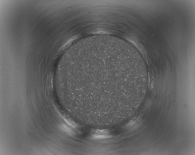 X0000078860157200612041941