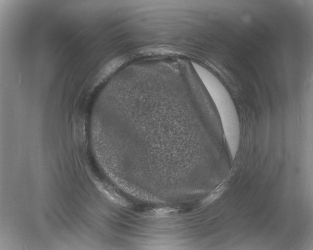 X0000078860158200612041941