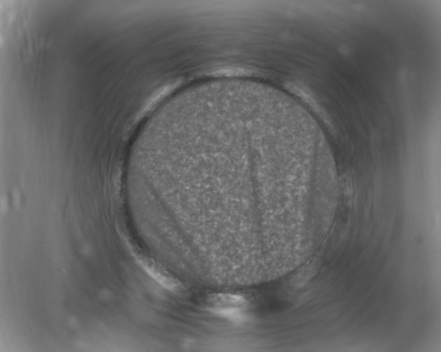 X0000078860159200612041941