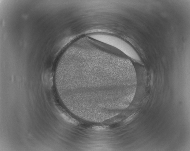 X0000078860160200612041941