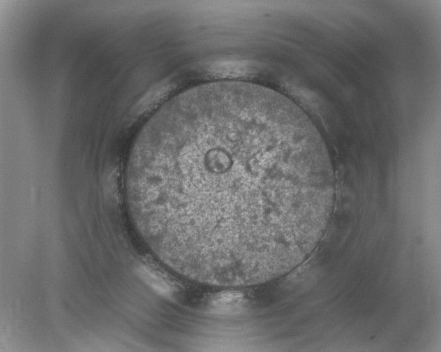 X0000078860162200612041941