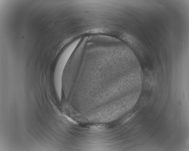 X0000078860164200612041941