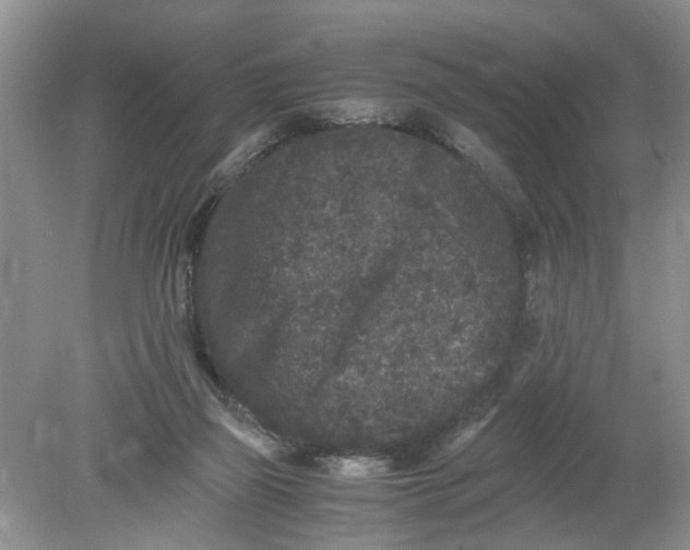 X0000078860165200612041941