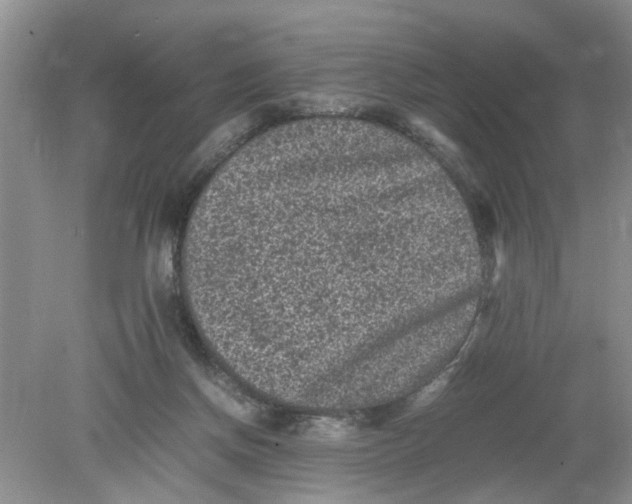 X0000078860166200612041941