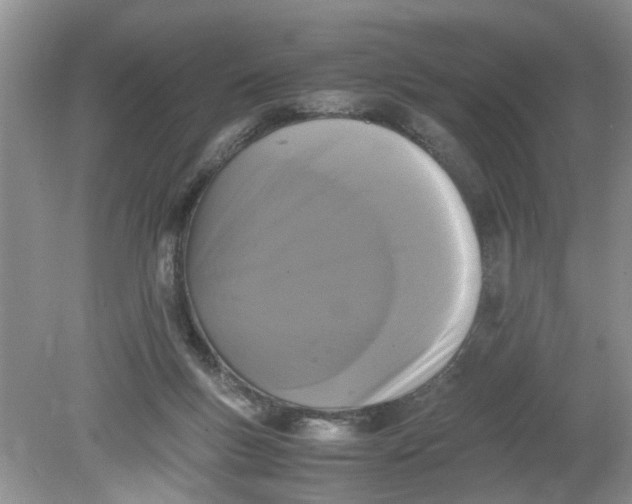 X0000078860167200612041941