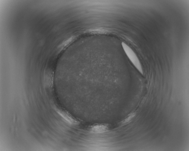 X0000078860168200612041941