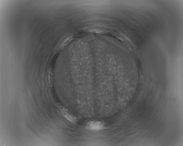 X0000078860169200612041941