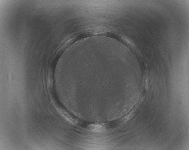 X0000078860170200612041941