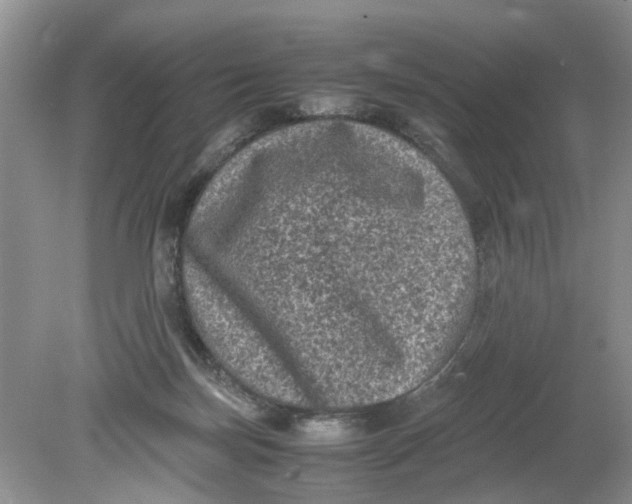 X0000078860171200612041941