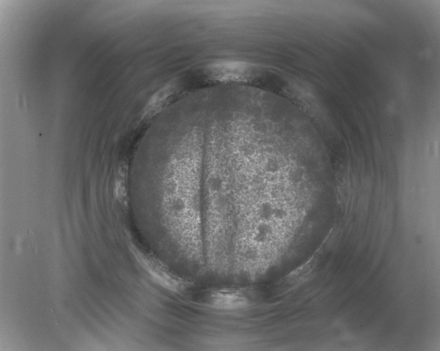 X0000078860175200612041941