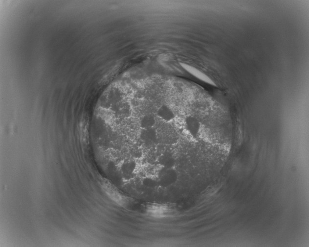 X0000078860177200612041941