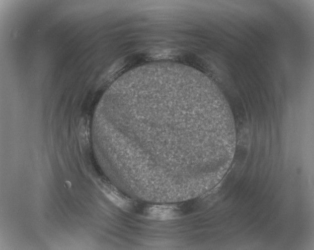 X0000078860179200612041941