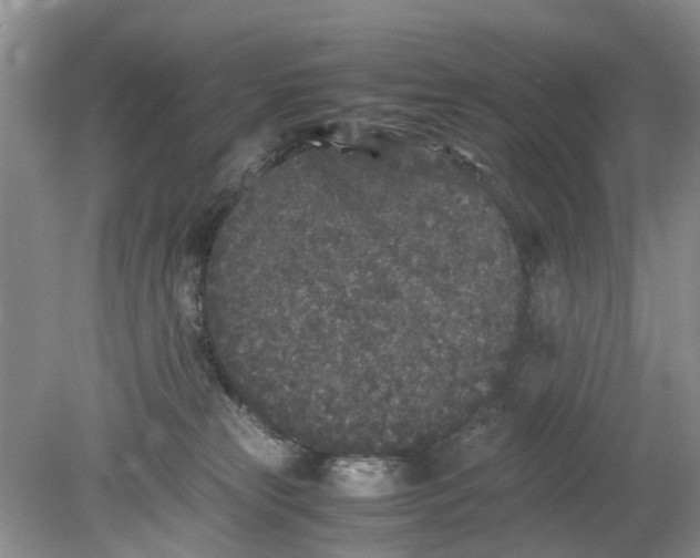 X0000078860181200612041942