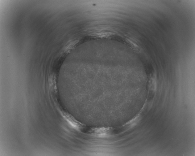 X0000078860182200612041942