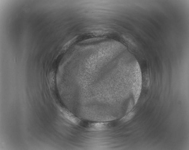 X0000078860184200612041942