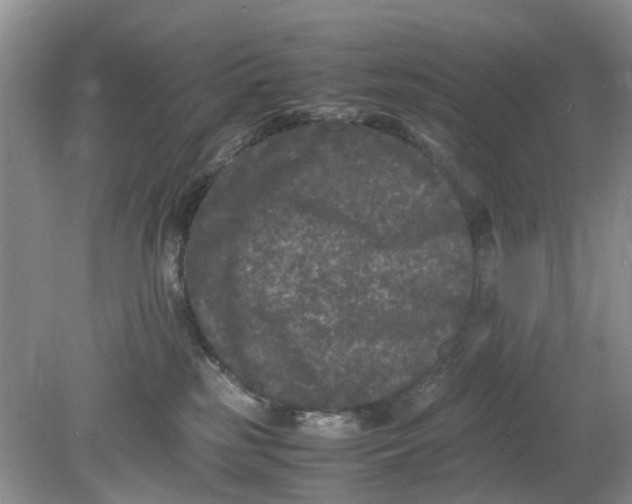 X0000078860185200612041942