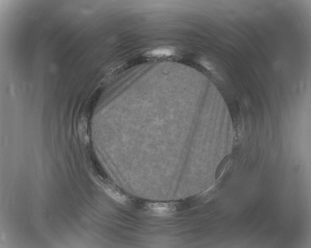 X0000078860187200612041942