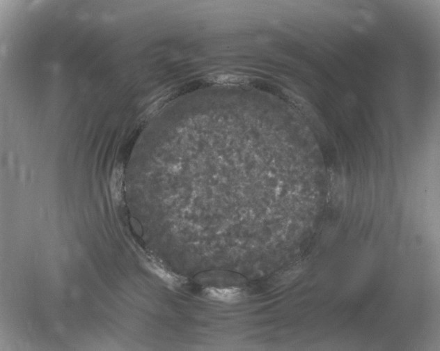 X0000078860189200612041942