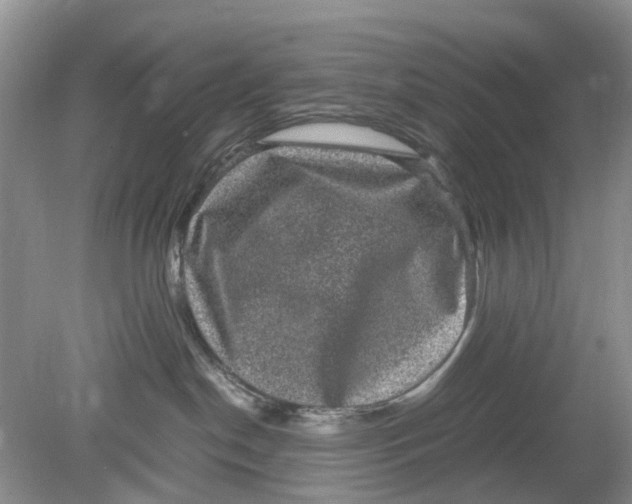 X0000078860190200612041942