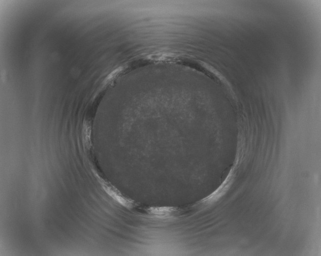 X0000078860192200612041942