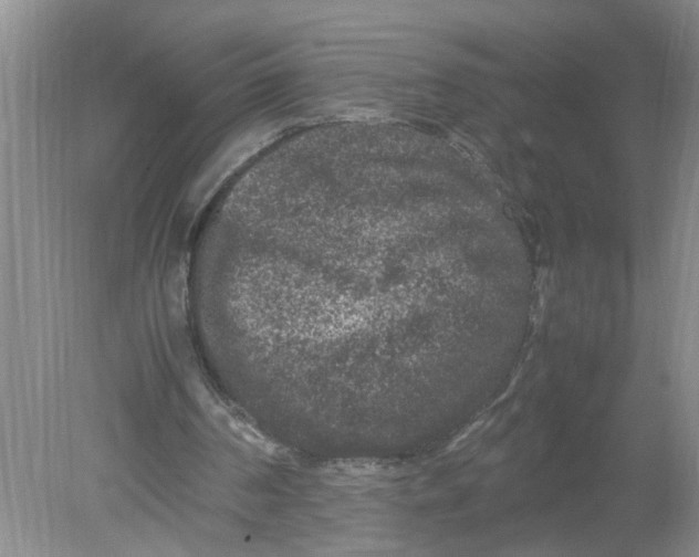 X0000078860194200612041941