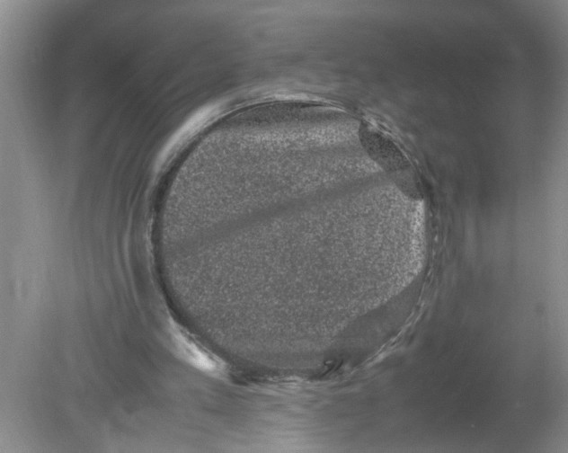 X0000078860197200612041941