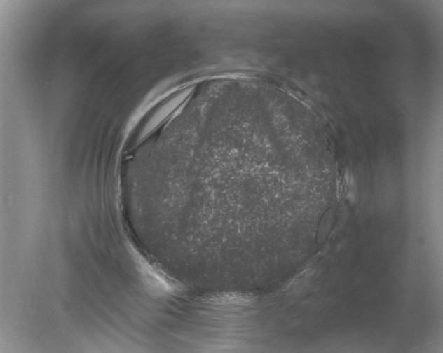 X0000078860198200612041941