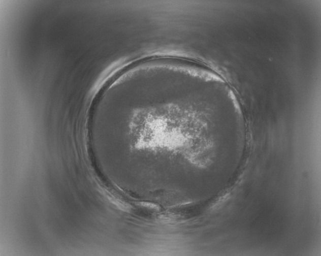 X0000078860199200612041941