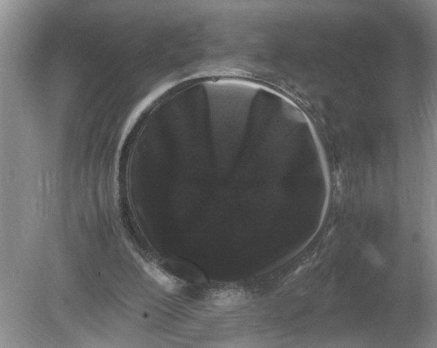 X0000078860200200612041941