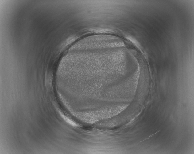 X0000078860201200612041941