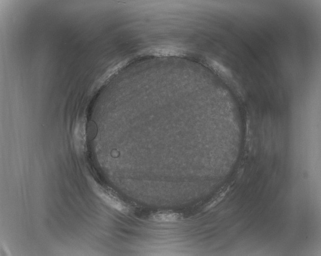 X0000078860202200612041941